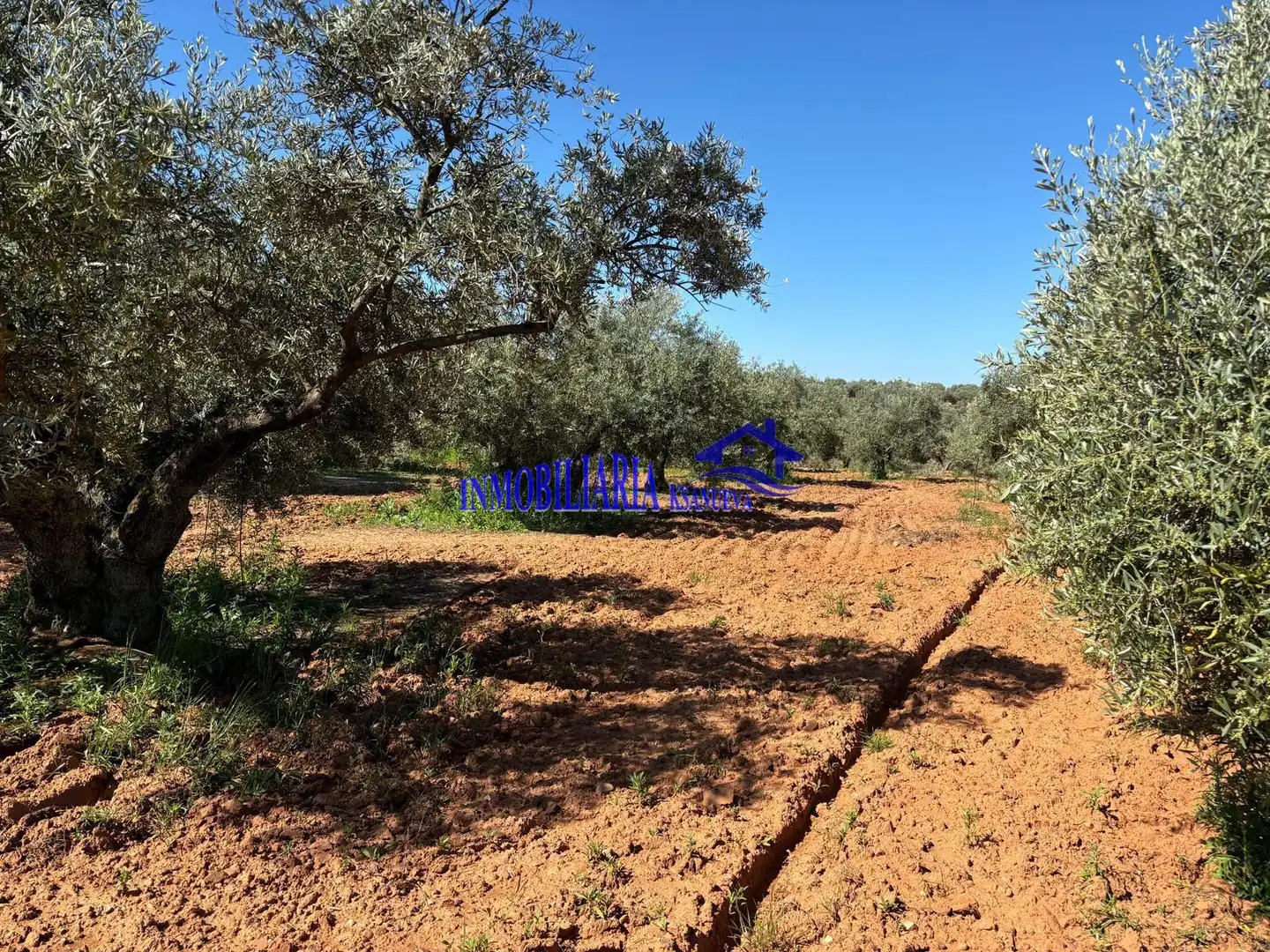 Casa rústica en venta en Montoro, imagen 27