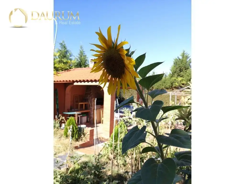 Jardín de Casa o chalet en venta en Rivas-Vaciamadrid