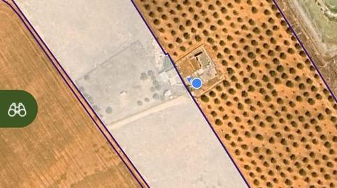 Foto 3 de Finca rústica en venda a La Pinilla - Las Palas, Fuente Álamo de Murcia