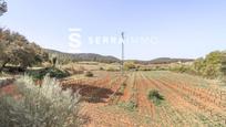 Country house for sale in Subirats, imagen 3