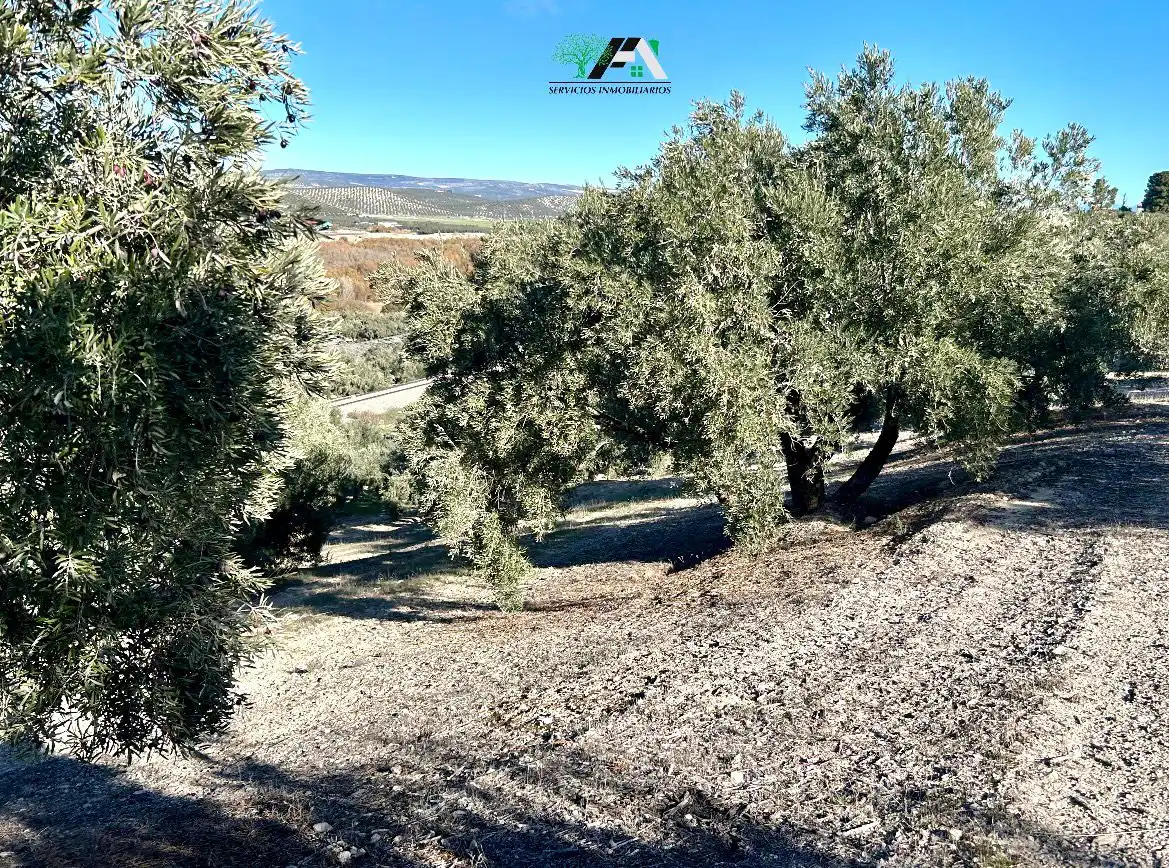 Terreni e lotti in vendita a Jódar, imagen 11