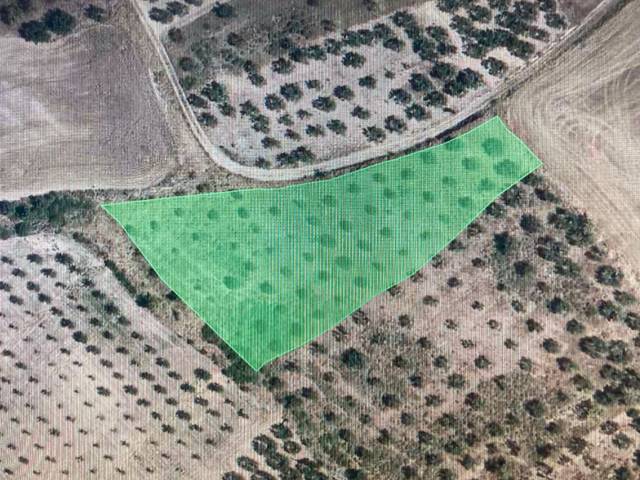 Terreno en Venta en Camino a Lodosa, 29 en Sesma