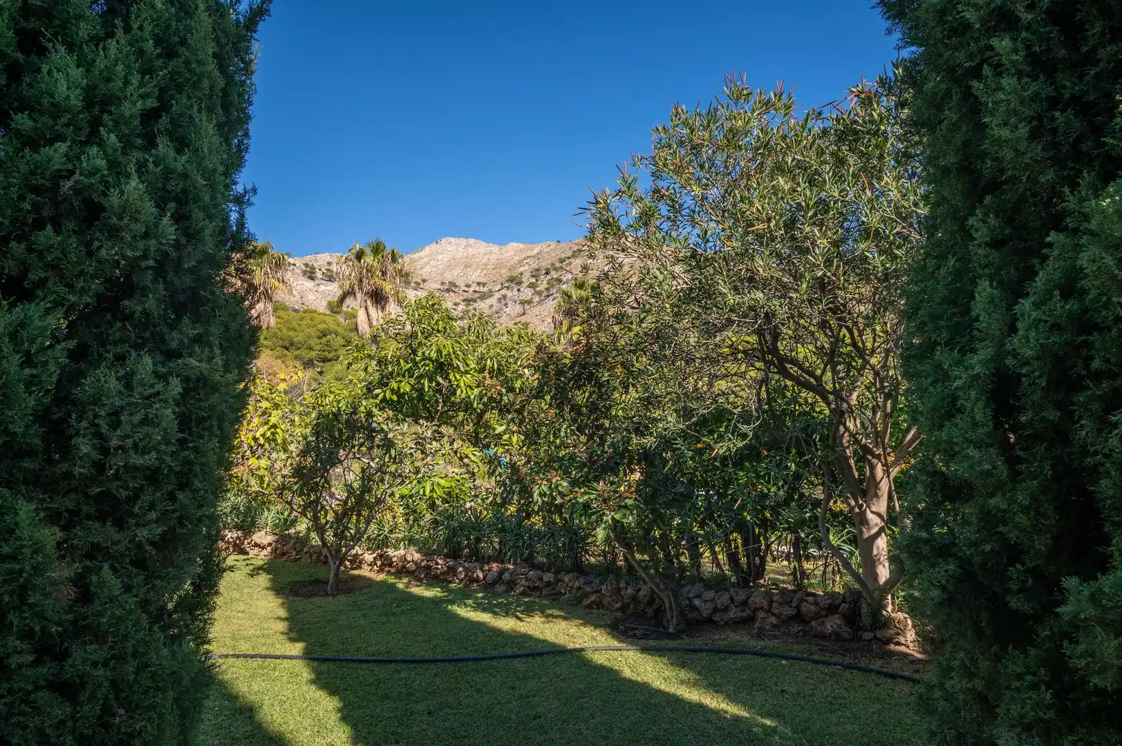 Jardí de Casa o xalet en venda en Mijas amb Terrassa