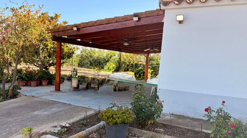 Foto 4 de Finca rústica en venda a Puigmal, Platja de Mont-roig, Mont-roig del Camp