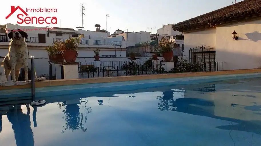 Casa o chalet en venta en Casco Histórico - Ribera - San Basilio