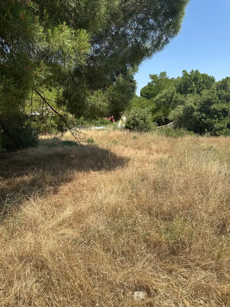 Finca rústica en venda en Traspinedo amb Jardí privat i Piscina