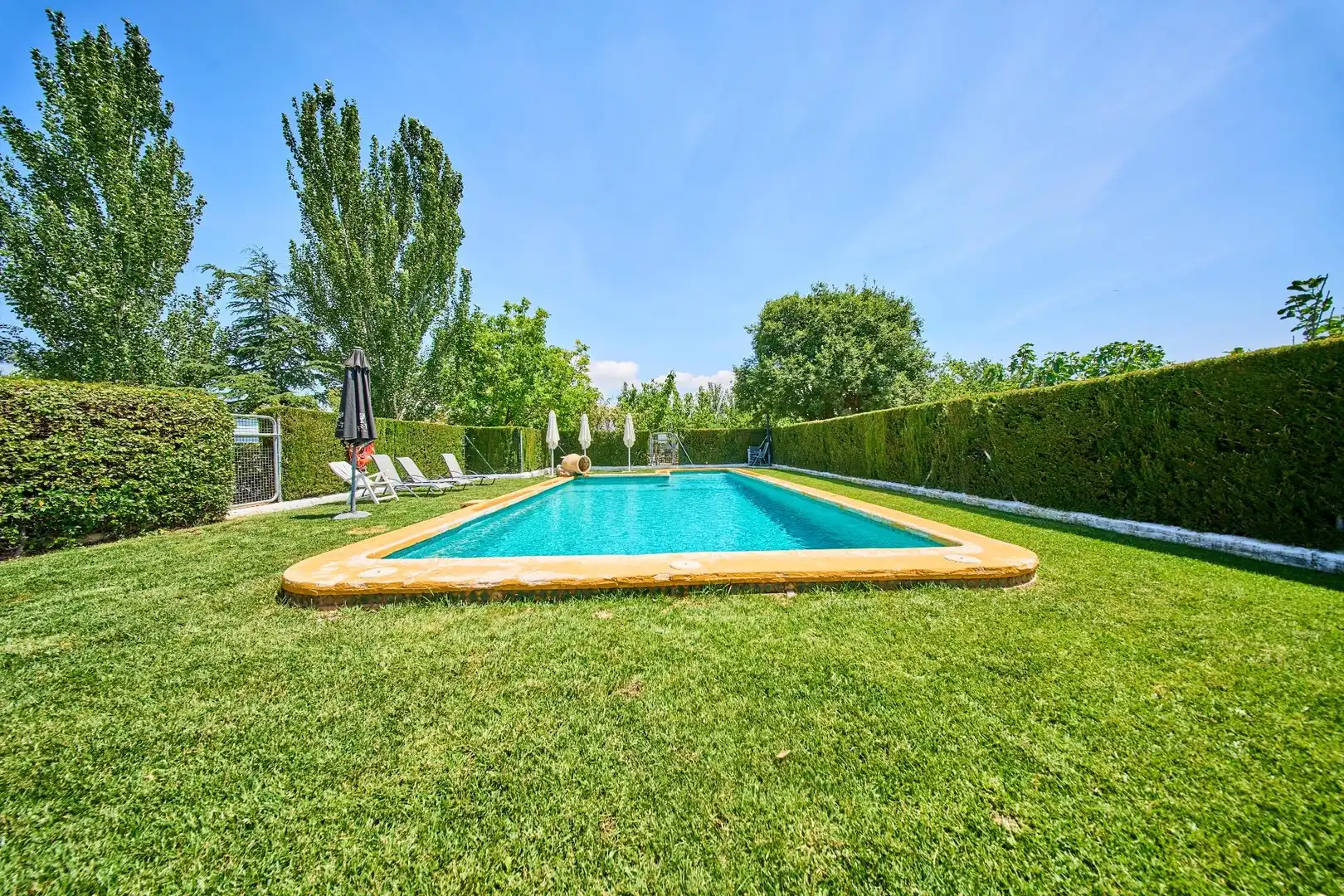 Piscina de Finca rústica en venta en Caniles