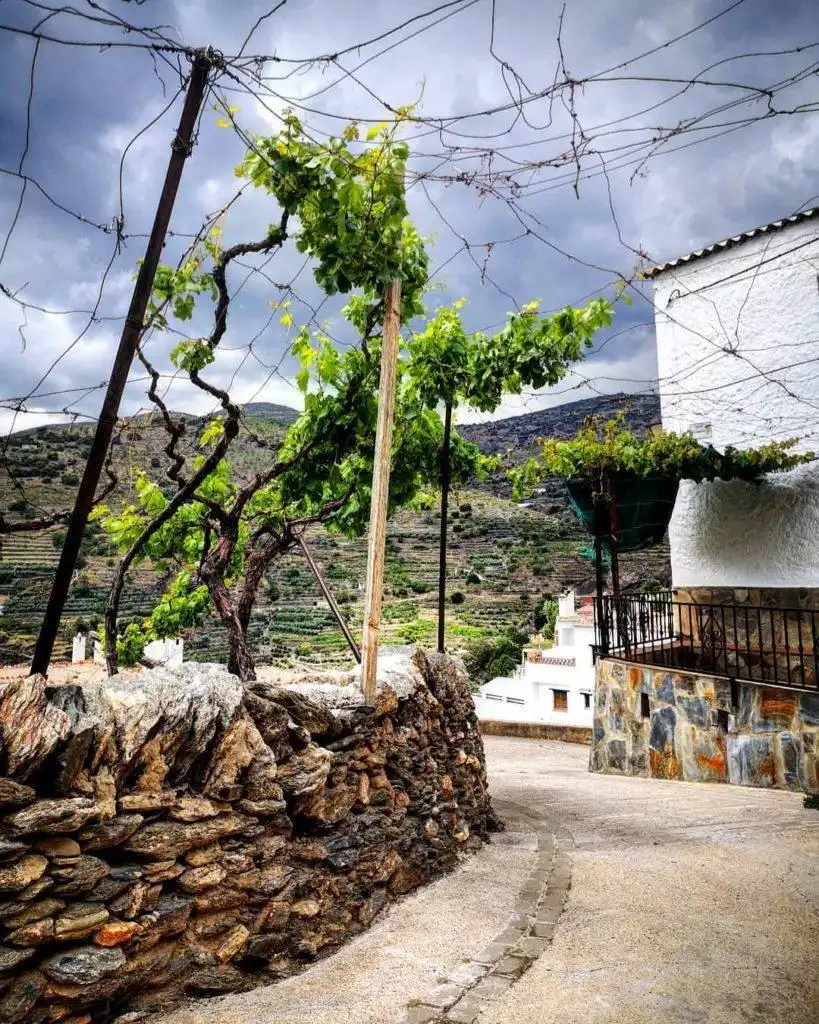 Vista exterior de Casa o chalet en venta en Ohanes con Calefacción, Terraza y Trastero