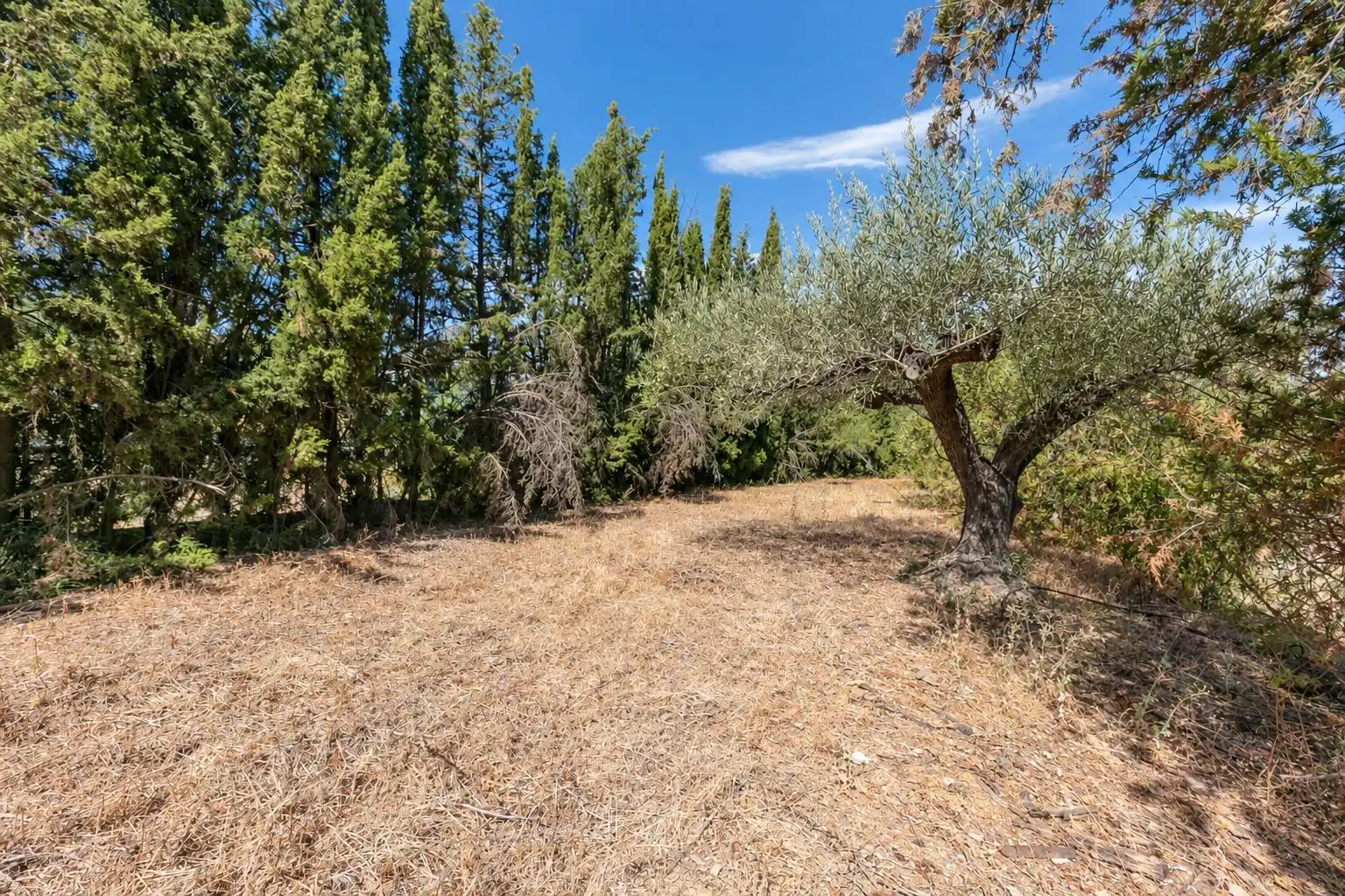 Casa rústica con piscina en venta en CAMPIÑUELA, imagen 32