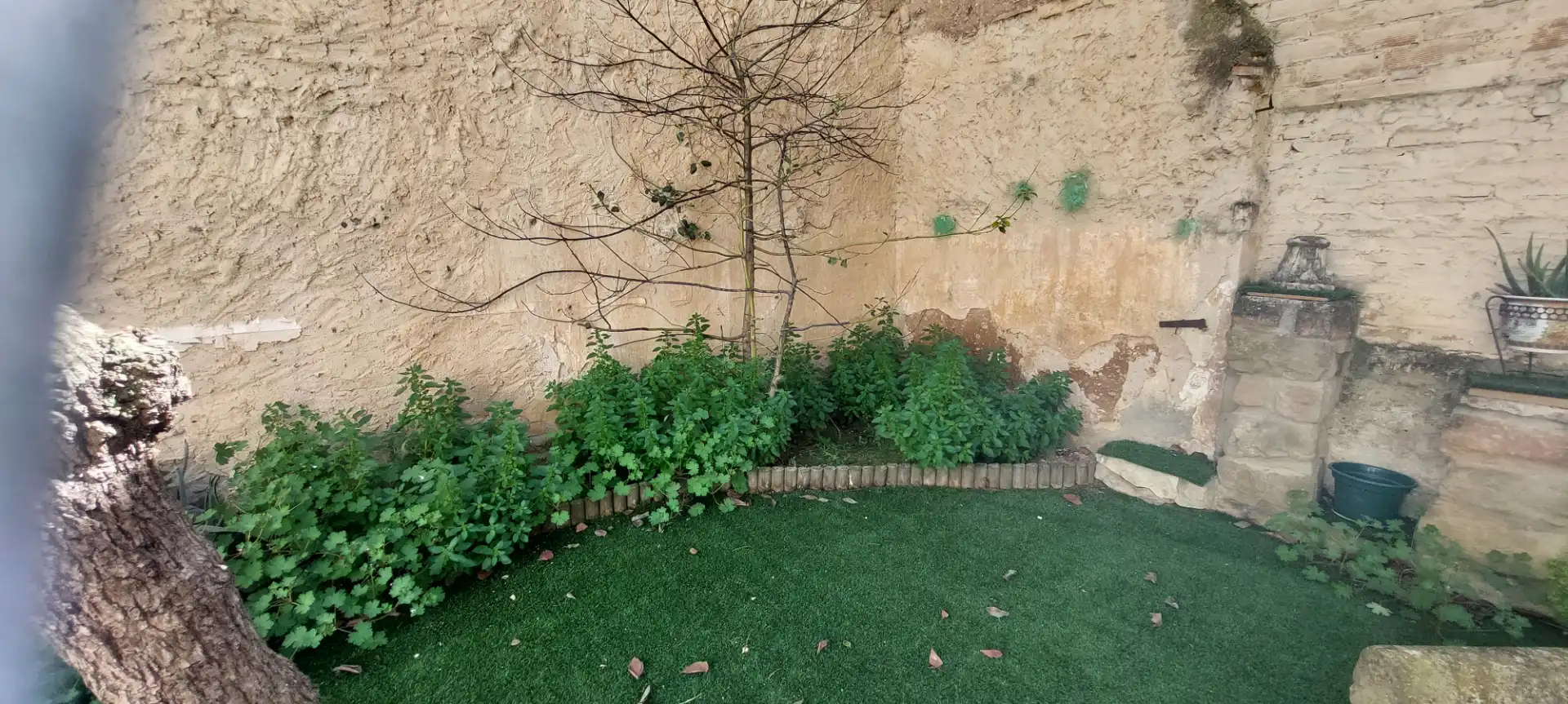 Jardín de Casa o chalet en venta en Anglesola con Calefacción, Jardín privado y Terraza