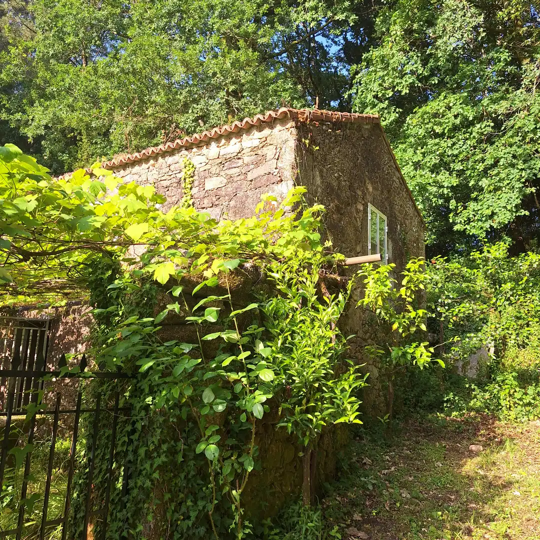 Jardín de Casa o chalet en venta en Barro