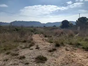 Rural land for sale in Vallmoll, imagen 6