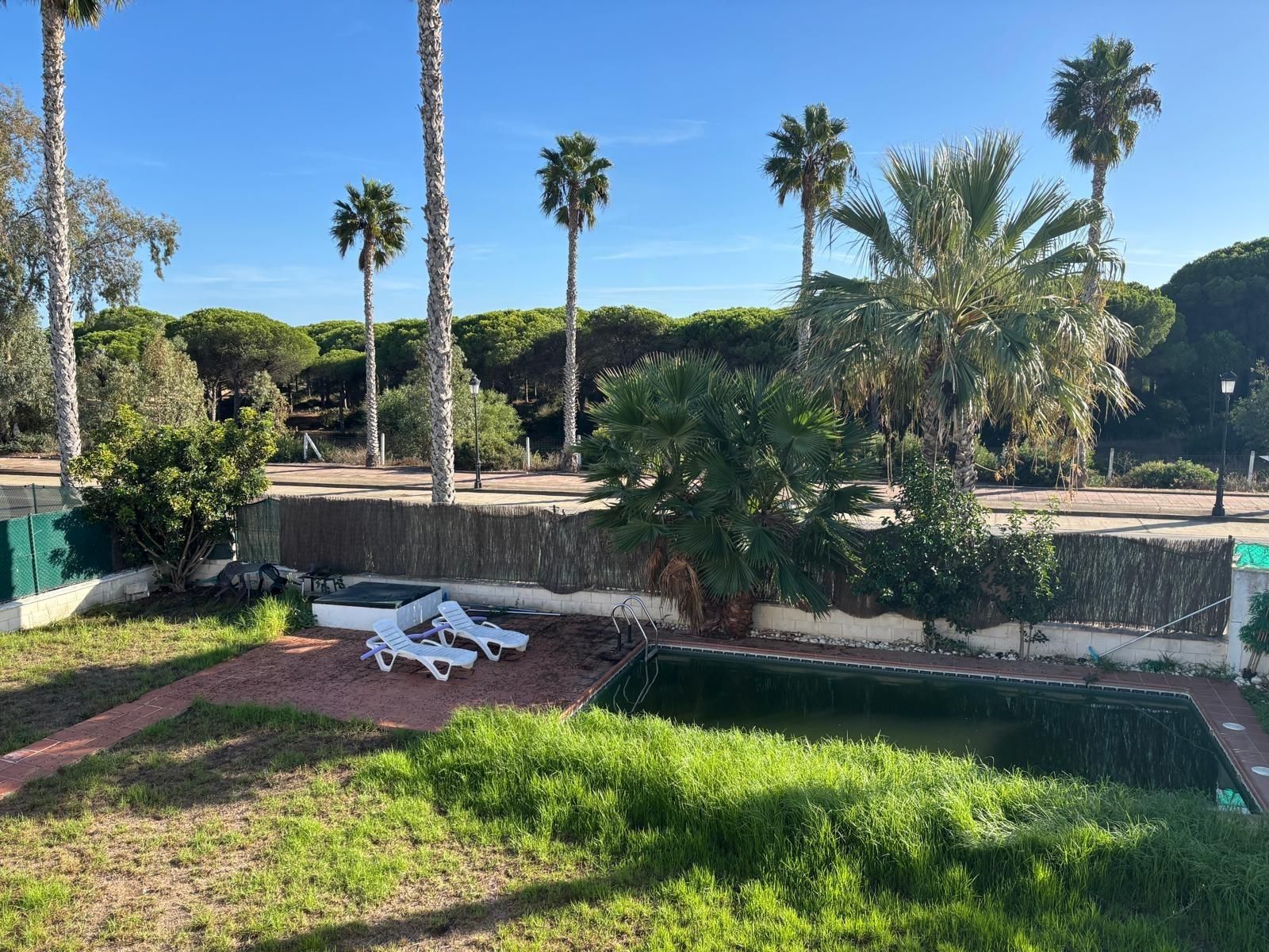 Jardí de Casa o xalet en venda en Conil de la Frontera amb Jardí privat, Terrassa i Piscina