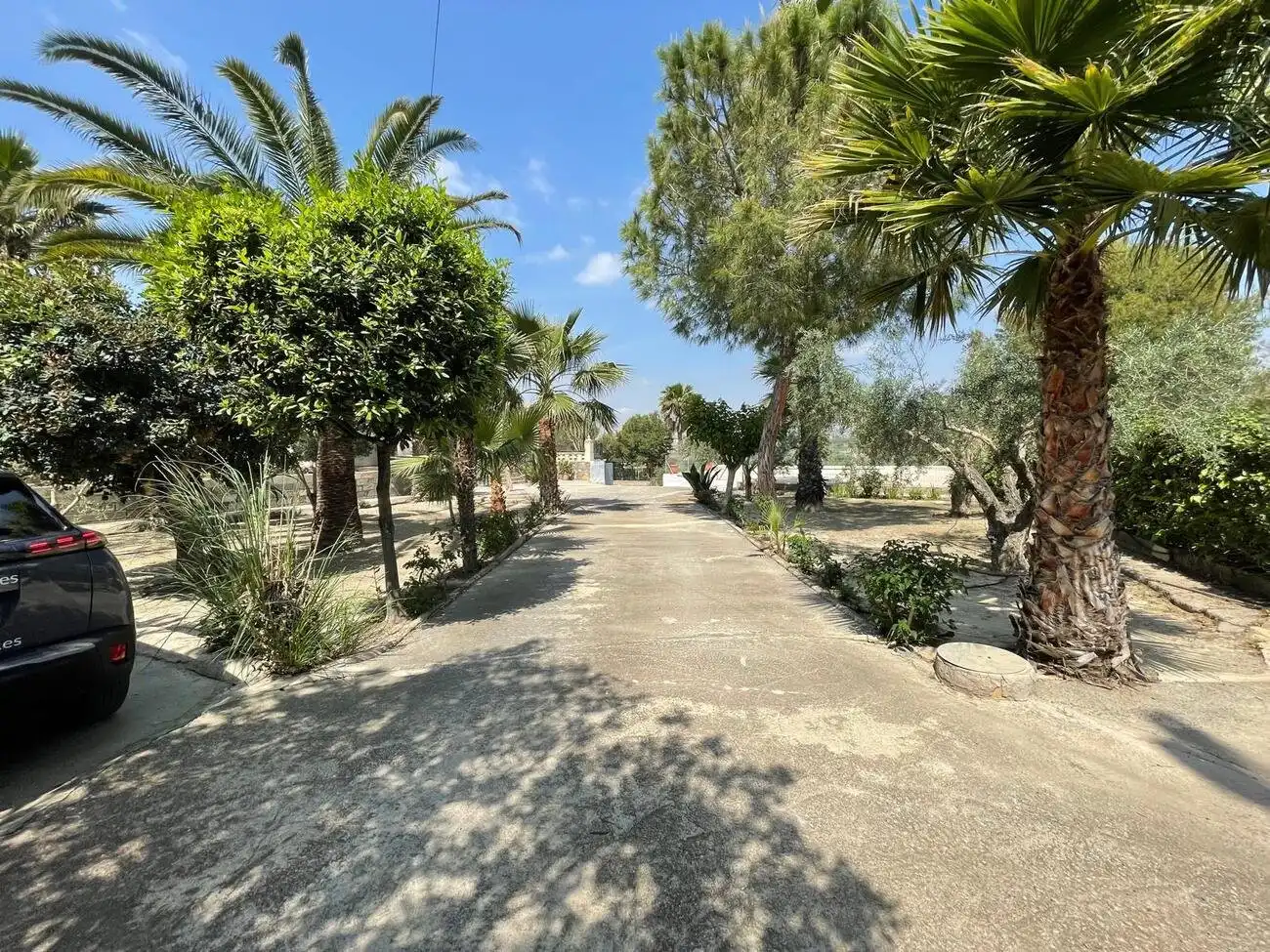 Vista exterior de Casa o xalet en venda en Alicante / Alacant amb Aire condicionat, Jardí privat i Terrassa