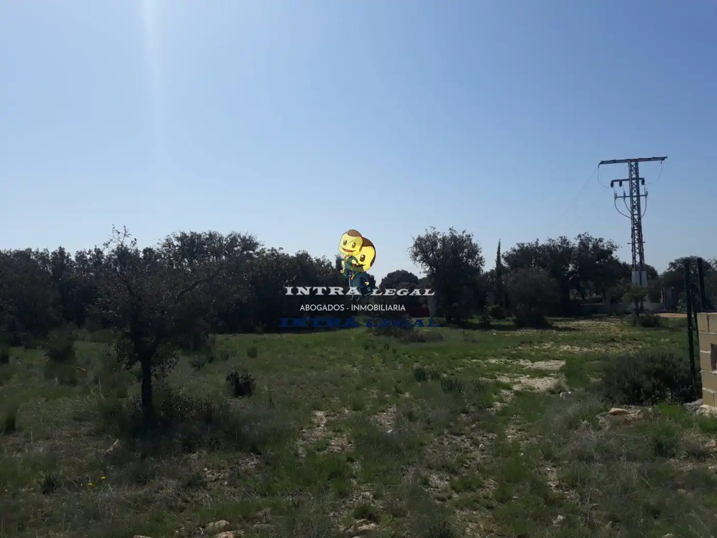 Terreno en venta en Buenavista