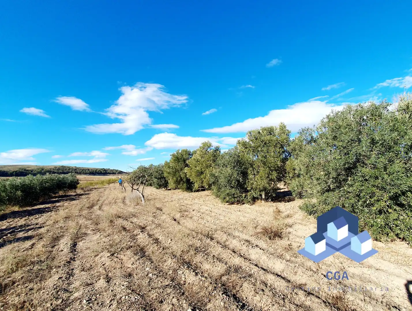 Country homes for sale in Lorca