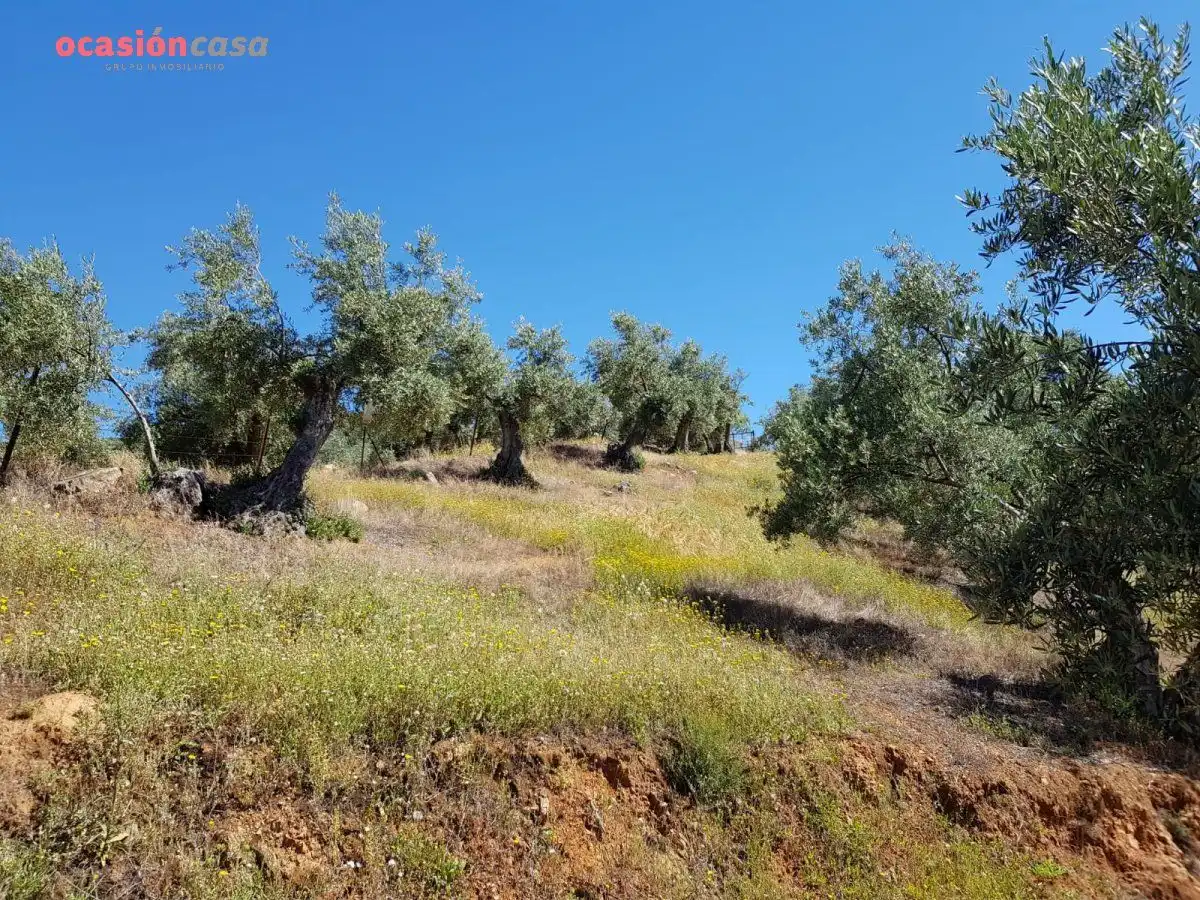 Finca rústica en venta en Villanueva de Córdoba con Jardín privado, Trastero y Amueblado
