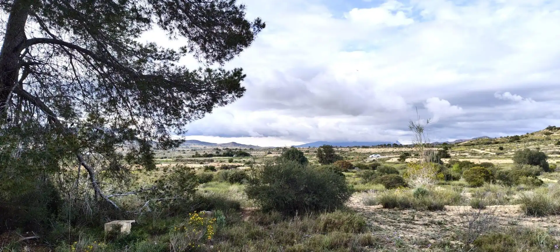 Terrain rustique à vendre à Jubalcoi, imagen 6