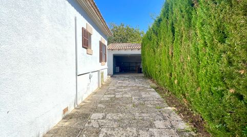 Foto 5 de Casa o xalet de lloguer a Avinguda del Pinar, Costa dels Pins, Son Servera