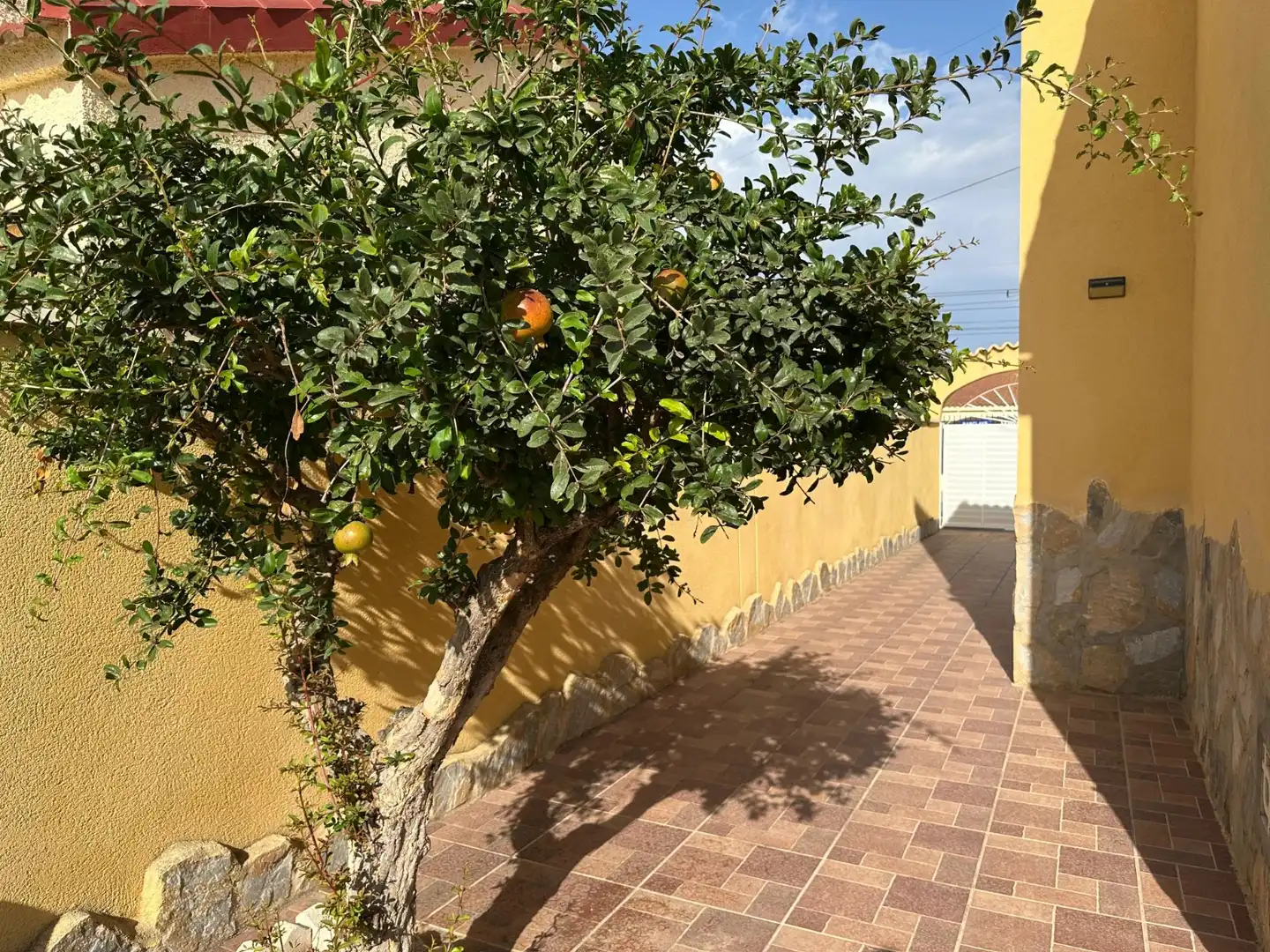 Casa amb piscina en venda a San Fulgencio, imagen 28