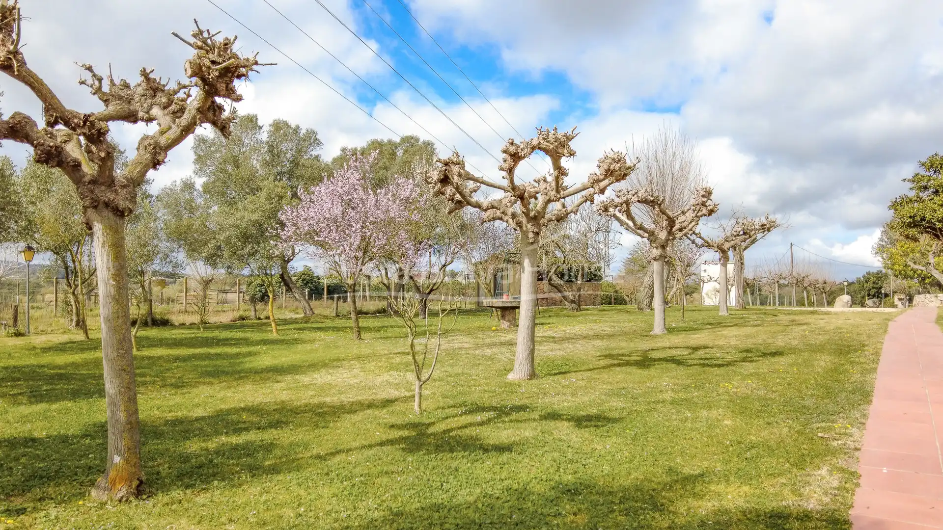 Maison rustique avec piscine à vendre à Llagostera, imagen 37