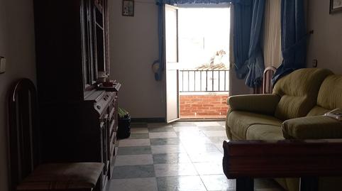 Foto 2 de Finca rústica en venda a Salares, Málaga