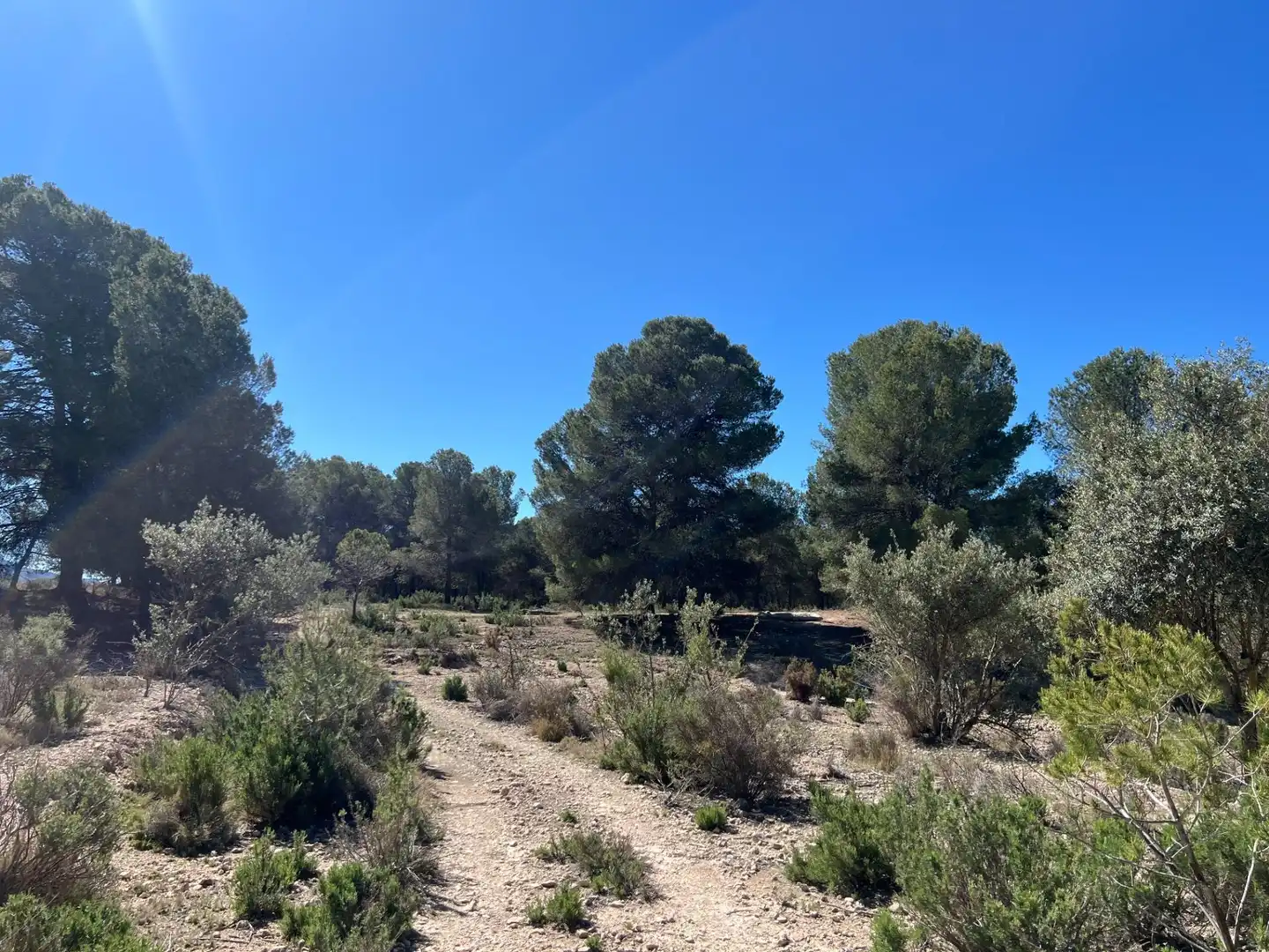 Country homes for sale in Castalla
