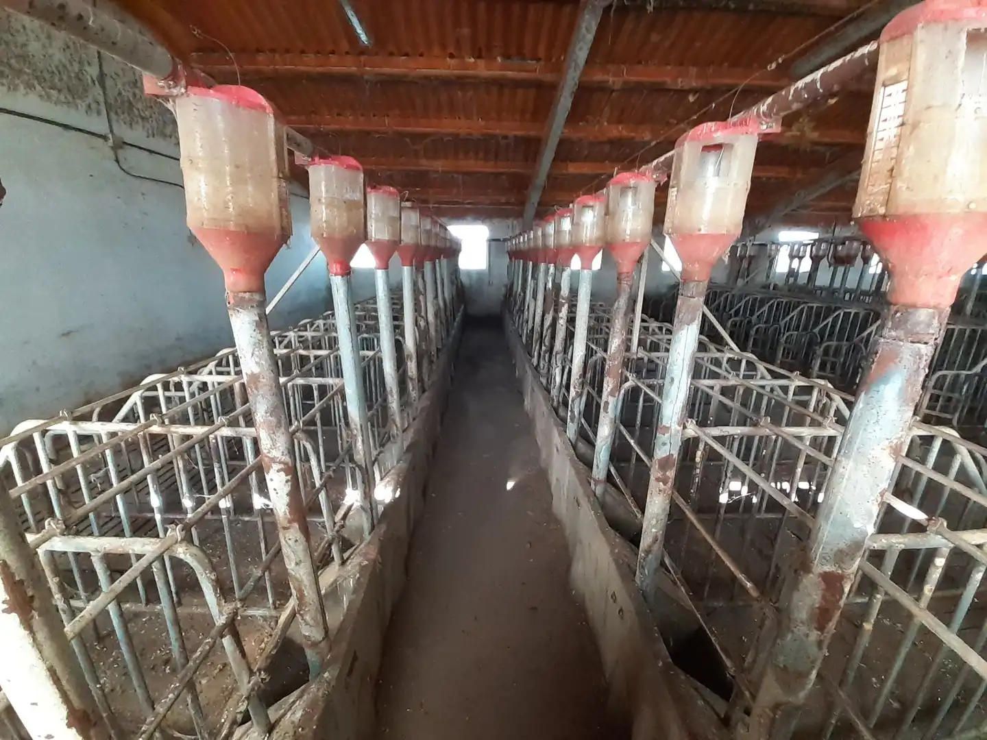 Vista exterior de Nave industrial en venta en Casaseca de las Chanas