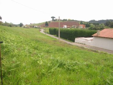 Terreni e lotti in vendita a Carreño