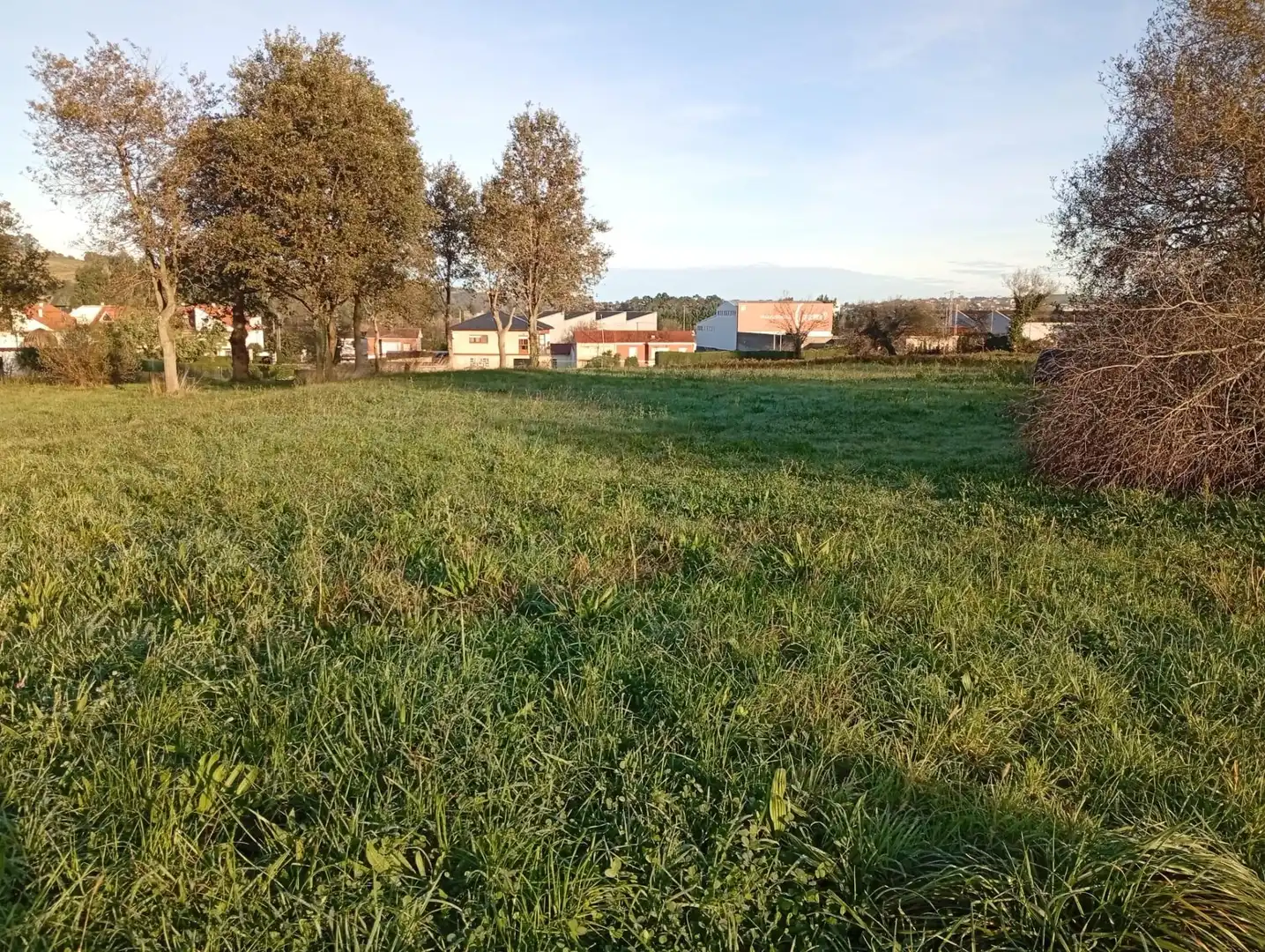 Lands and plots for sale in Polanco, imagen 8