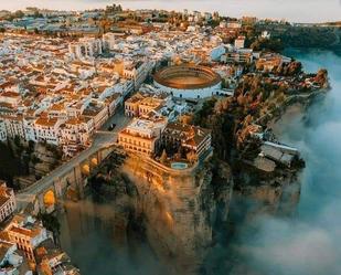 Exterior view of Land for sale in Ronda