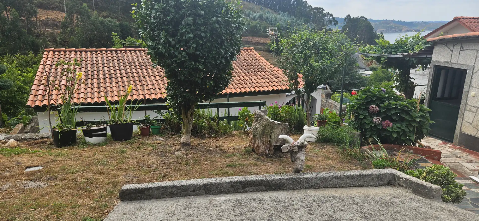 Maison à vendre à Área Rural, imagen 8