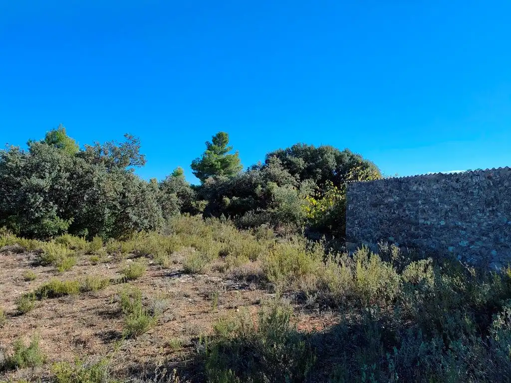 Country homes for sale in Cretas
