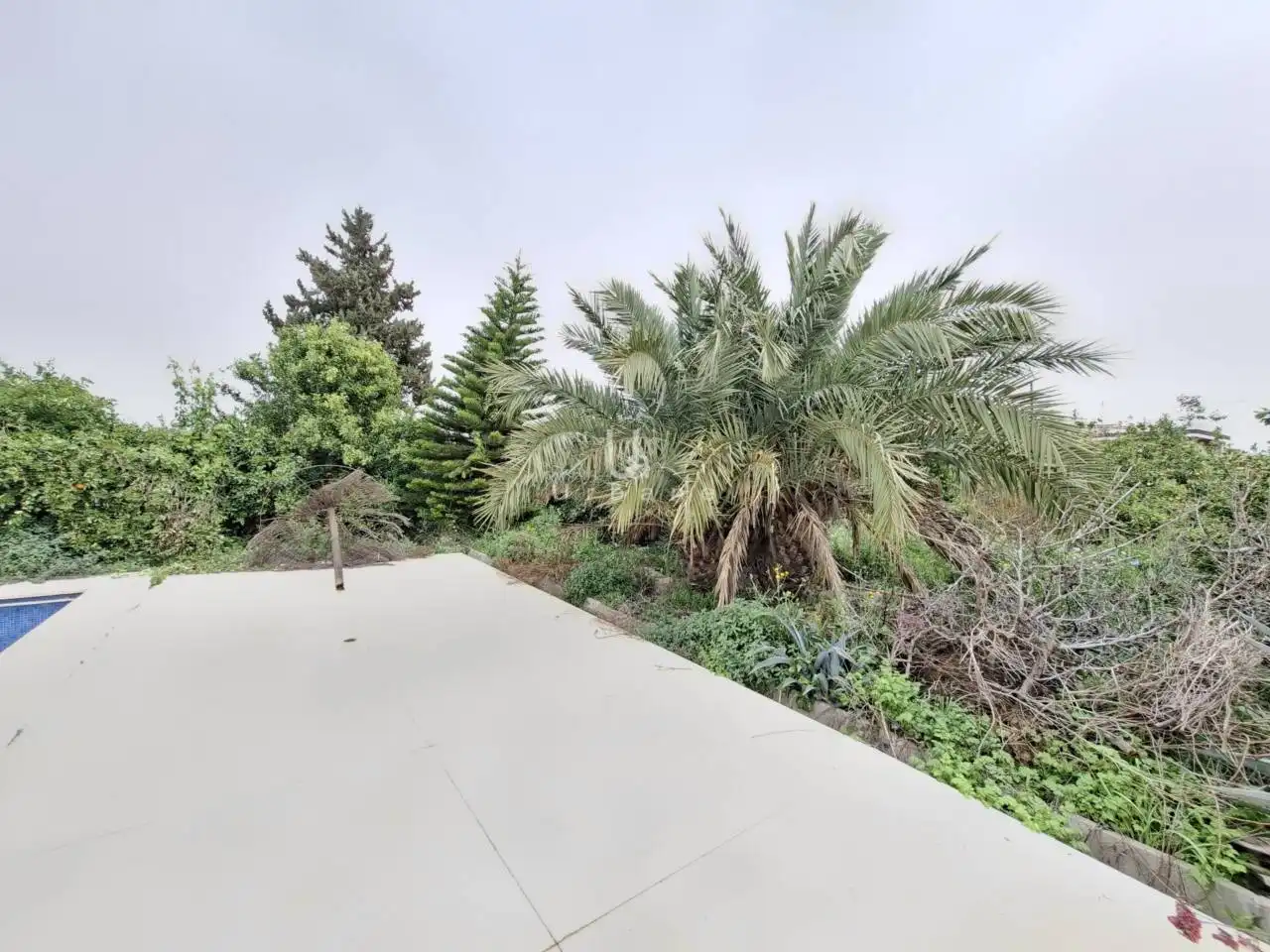 Jardí de Finca rústica en venda en Murcia amb Aire condicionat, Jardí privat i Piscina
