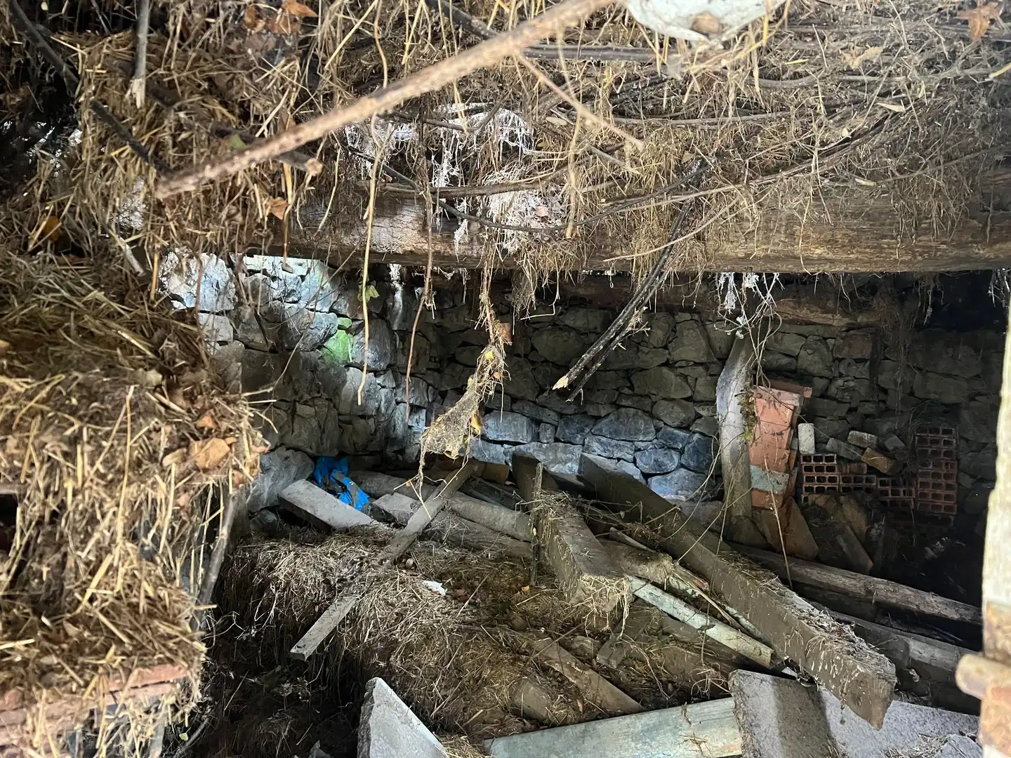 Terreno rustico in vendita a següenco, imagen 6
