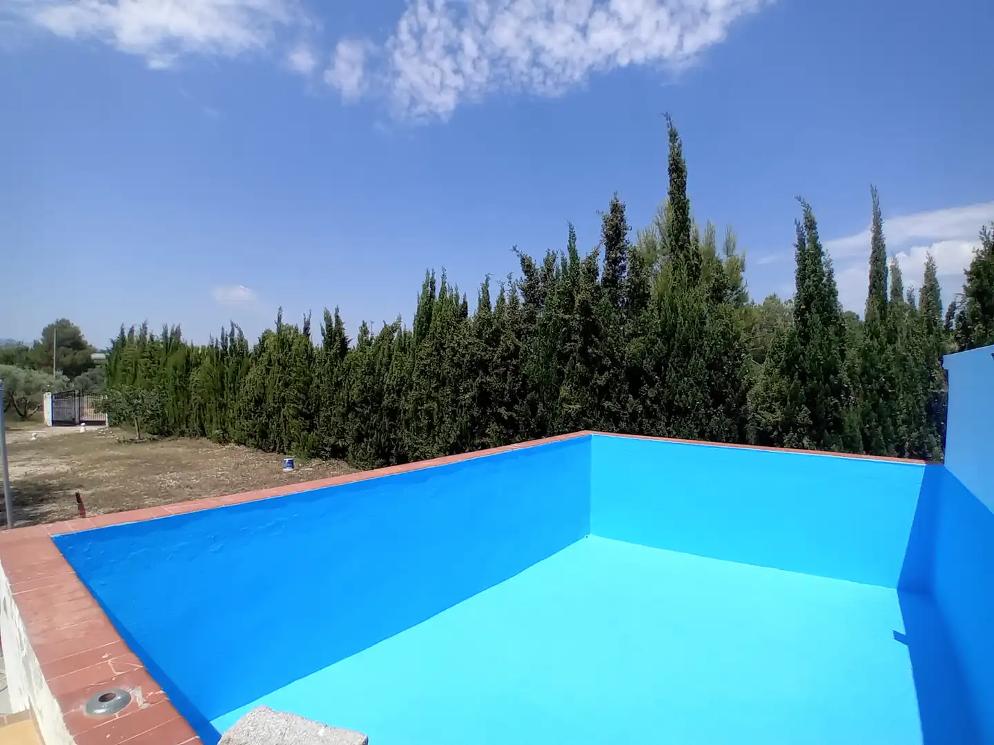 Piscina de Casa o chalet en venta en Torrent con Jardín privado, Terraza y Piscina