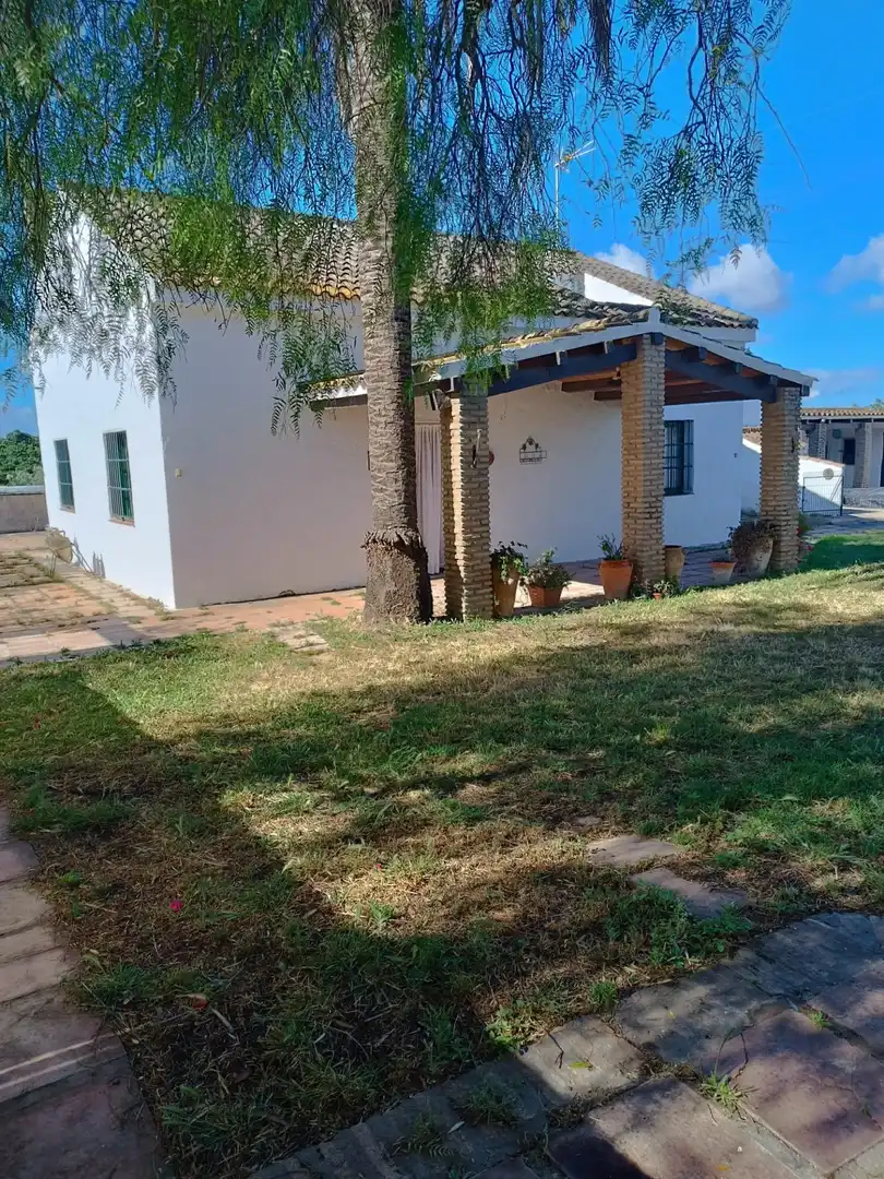 Jardín de Casa o chalet en venta en Puerto Real