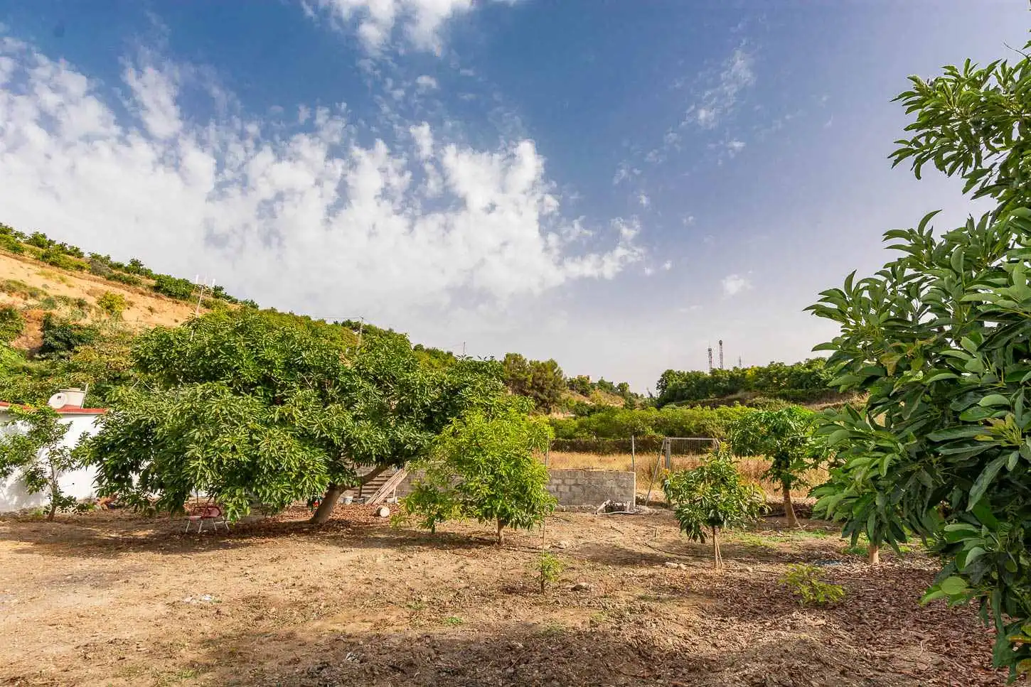 Terreni e lotti in vendita a Avda Pescia - Ctra de Frigiliana, imagen 11