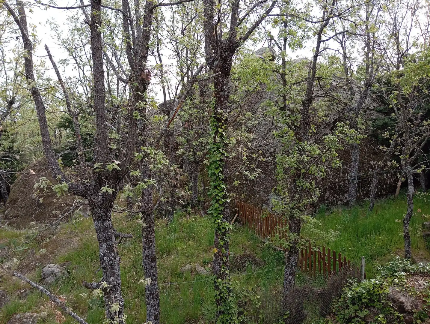 Garden of Houses for sale in Valdemorillo