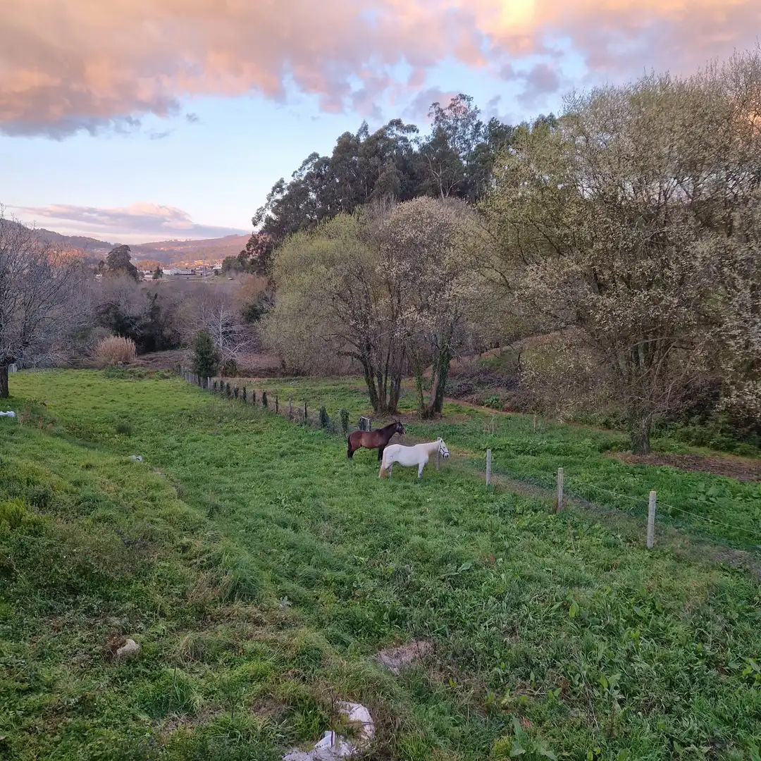 Casa amb terrassa en venda a Gondomar, imagen 22
