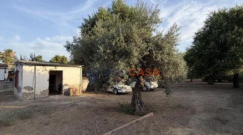 Foto 5 de Finca rústica en venda a Calle Sierra Morena, Pedanías Norte, Utrera