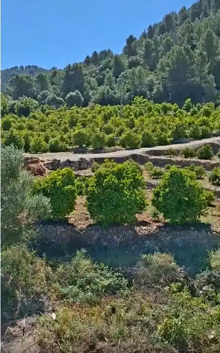 Appartamento con terrazza in vendita a Camí de Forna, imagen 28
