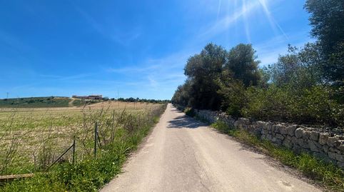 EXCLUSIVA OPORTUNIDAD INMOBILIARIA EN PETRA PARCELA DE ENSUEÑO CON INFINITAS POSIBILIDADES, immagine 5