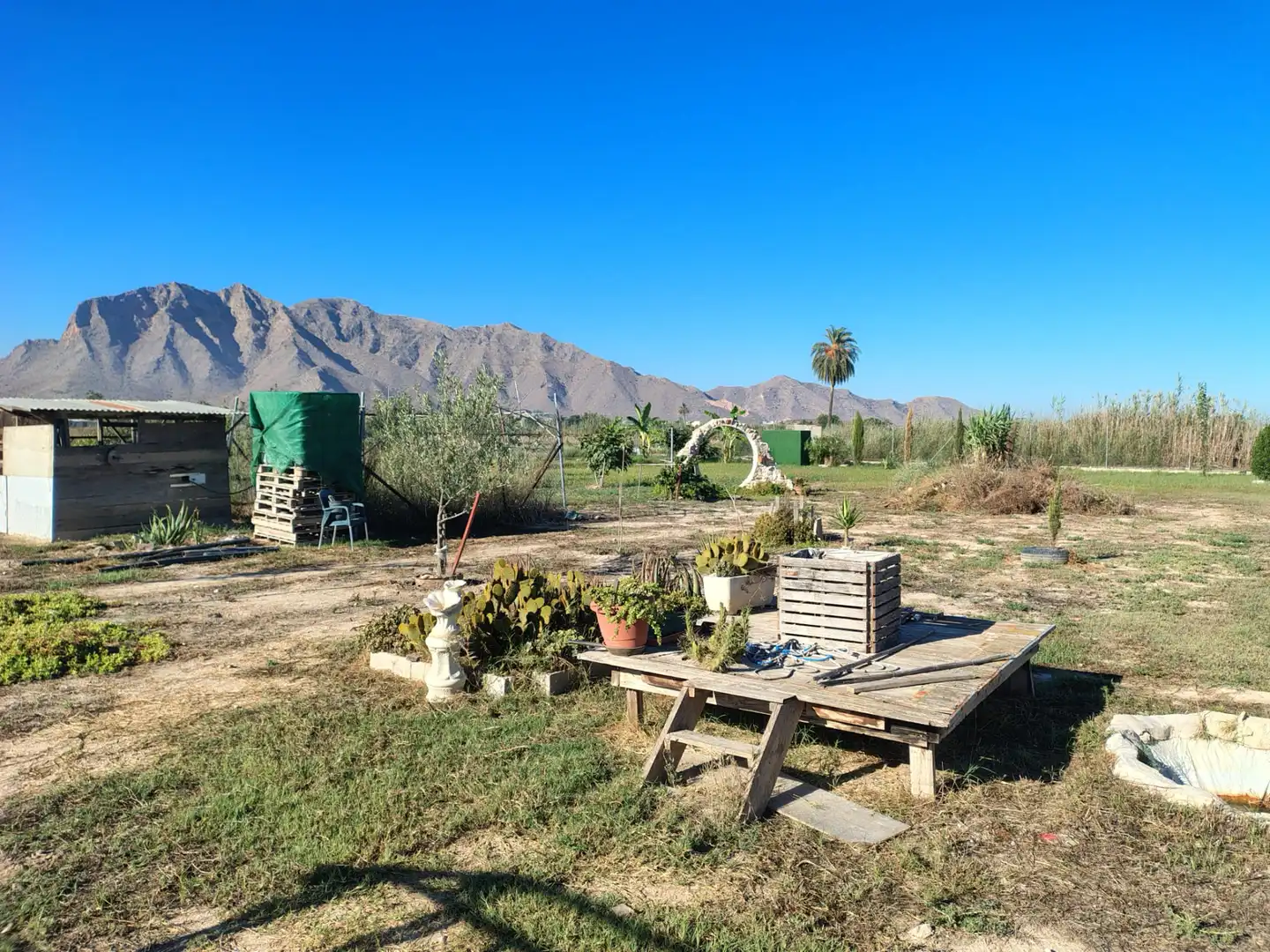 Country house for sale in Calle Doctor Ramón y Cajal, imagen 5