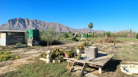 Foto 5 de Finca rústica en venta en Calle Doctor Ramón y Cajal, Cox, Alicante