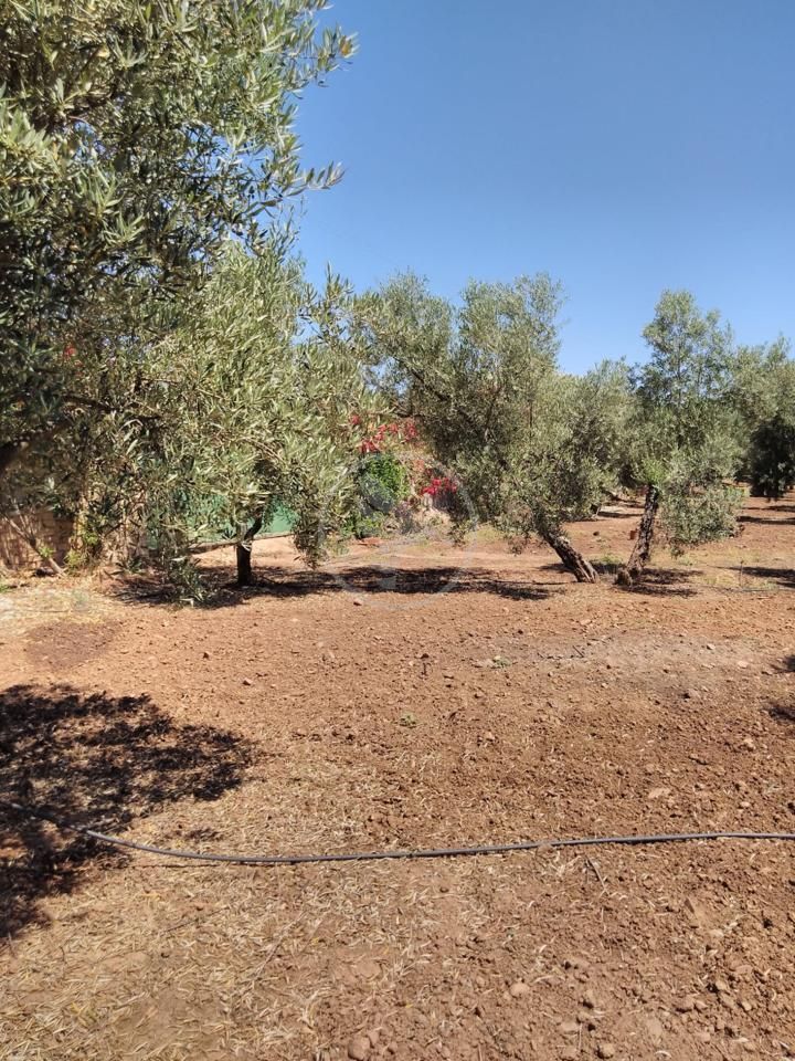 Finca rústica en venda en Linares