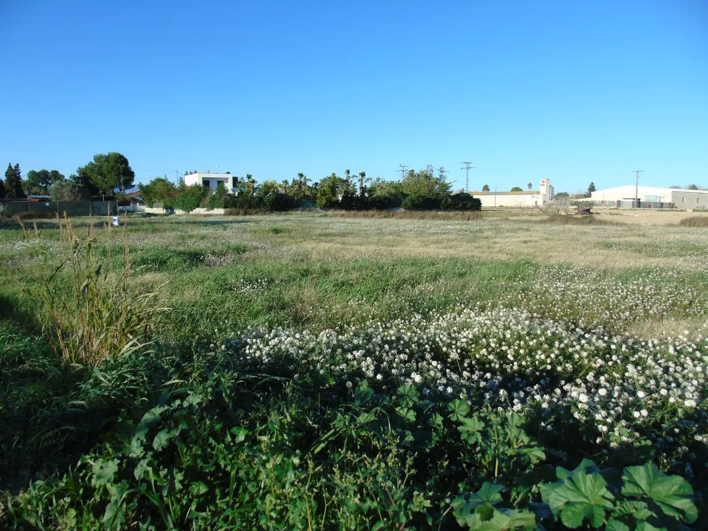 Terrenos y solares en venta en Las Torres de Cotillas, imagen 7
