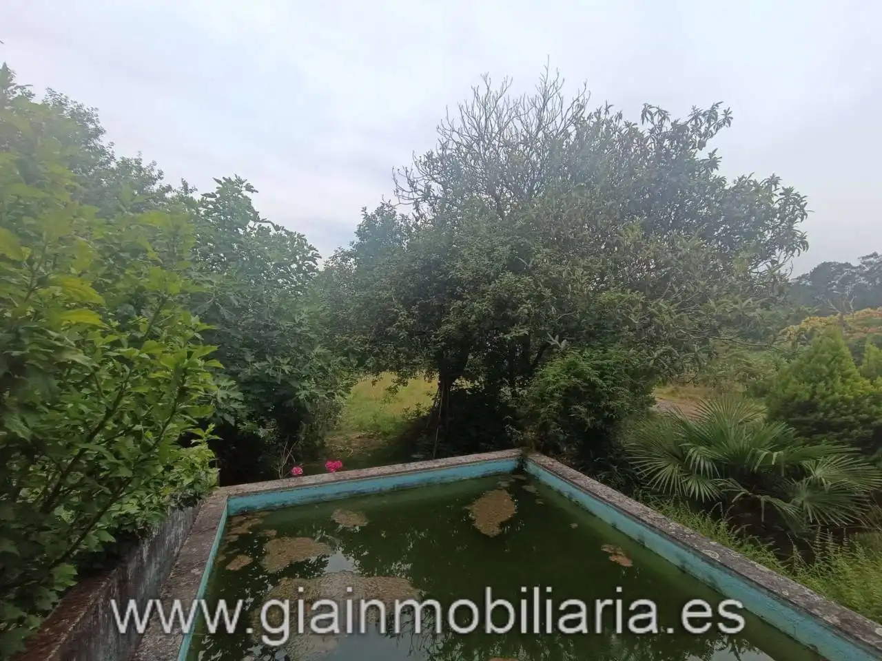 Casa con jardín en venta en Calle Fornelos, imagen 12