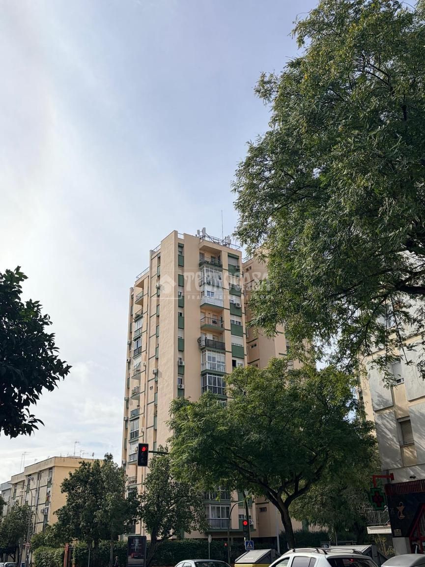 Exterior view of Flat to rent in  Sevilla Capital  with Heating and Furnished