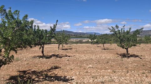 Foto 3 de Terreny en venda a Monóvar / Monòver, Alicante